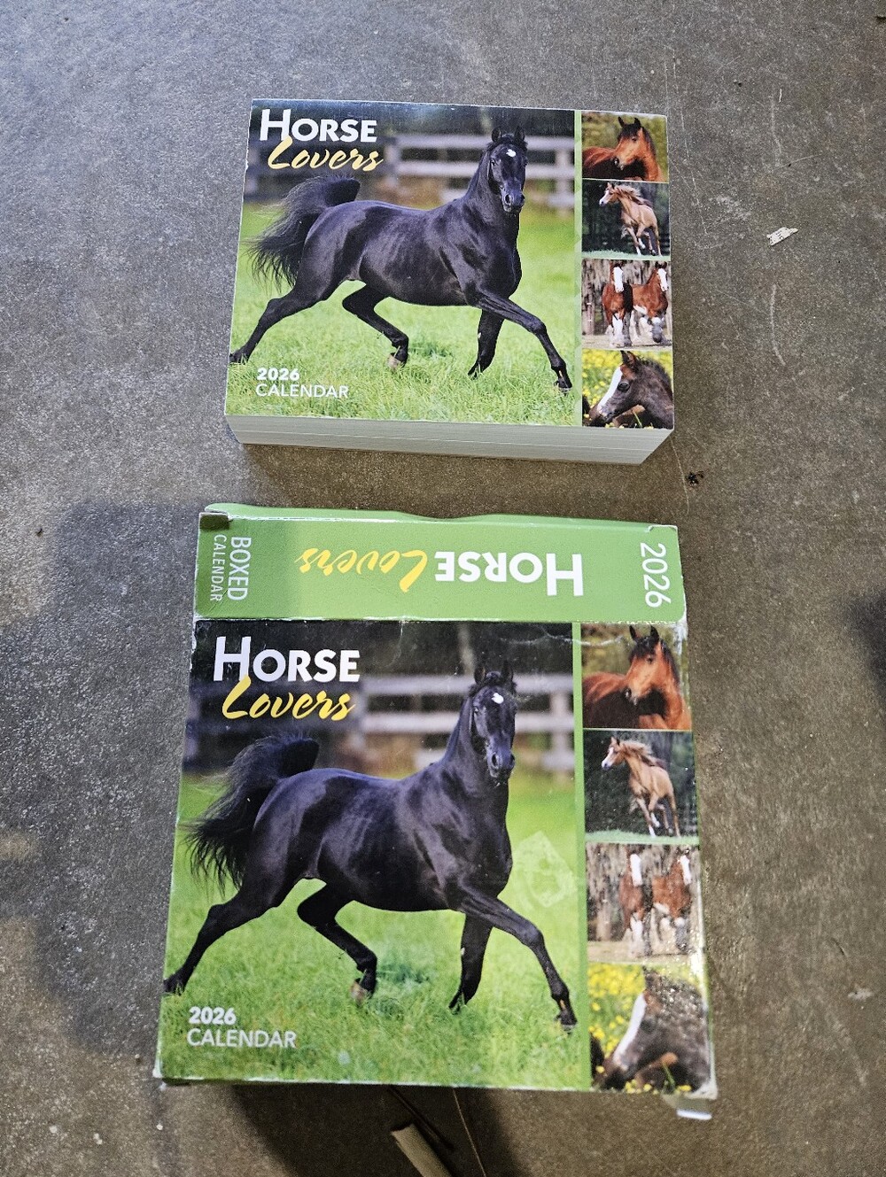 HORSE EQUESTRIAN 2026 Daily Desk Box Calendar BrownTrout Horse Lovers Tear-Away